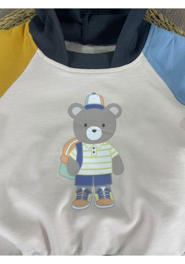 Teddy Ayıcık Baskılı Kapüşonlu Renkli Kol Detaylı Erkek Bebek Takım Koyu Füme