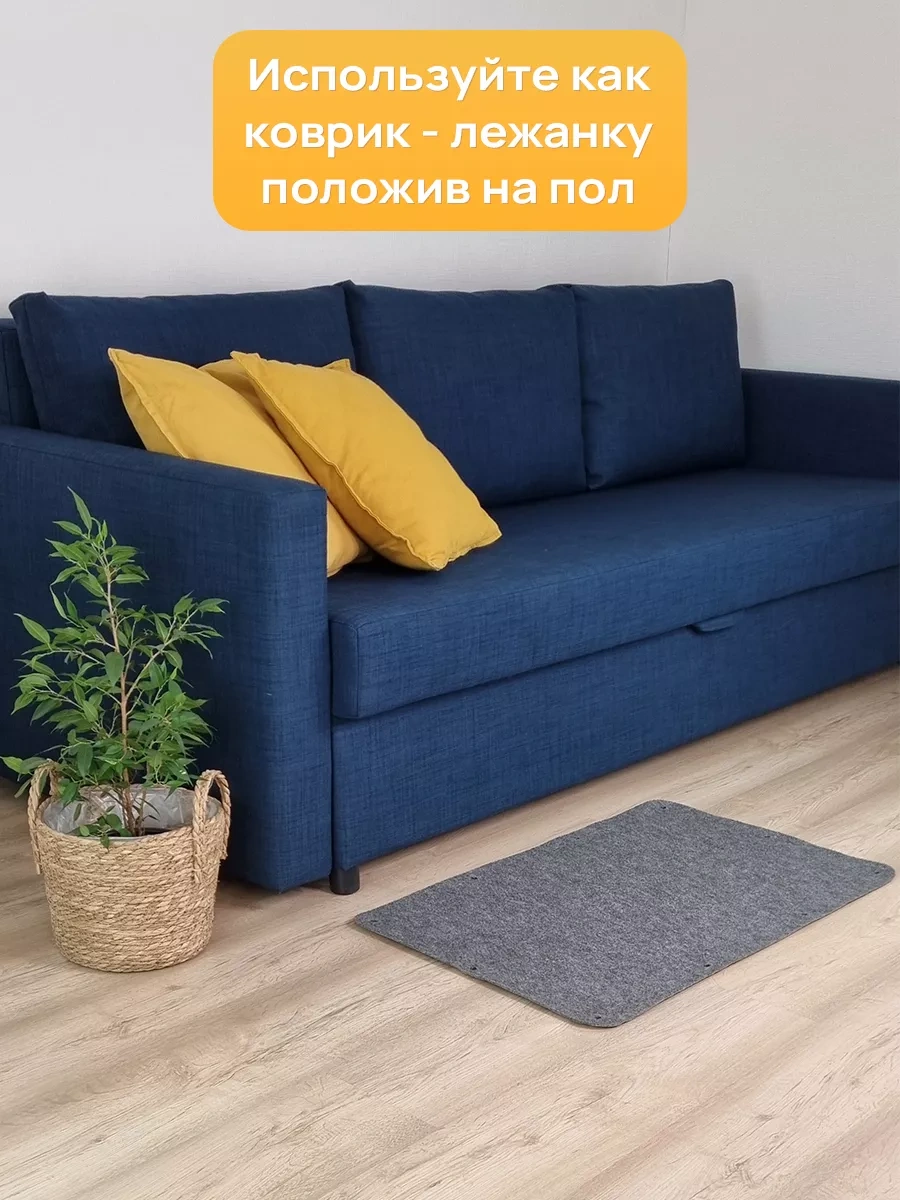 Aseliadia Kedi Kınağı - 80x50 Cm Kanepe Tipi 191549420