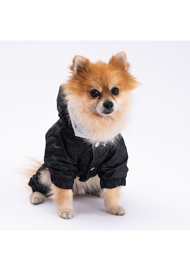 Pettrend Siyah Kürklü Tulum Küçük Irk Köpek Yağmurluğu