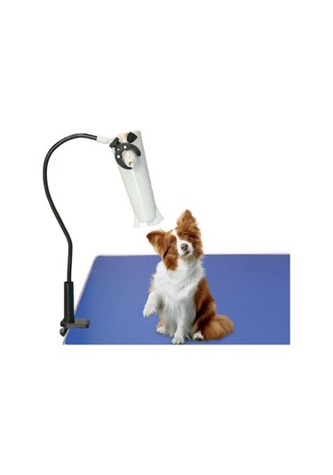 Suntek Evcil Hayvan Saç Kurutma Makinesi Standı Kedi Bakım