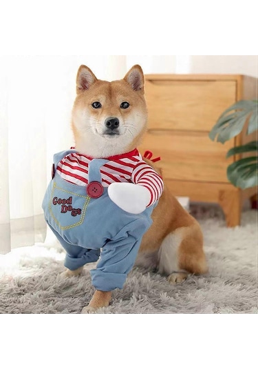 Küçük Köpekler İçin Cadılar Bayramı Kostümü - Özel Günler İçin Şe