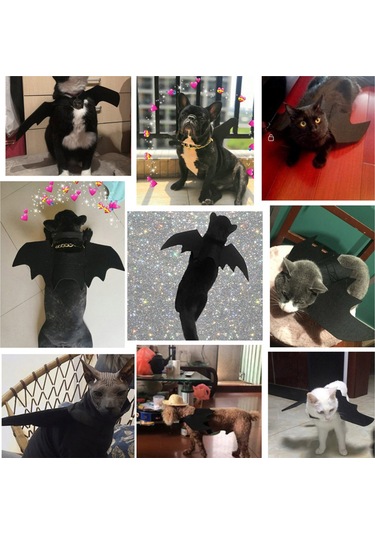 Vkemall Kedi Yarası Kanatlı Kostümü - Siyah L Beden - Felt Malzeme - Halloween, Parti Ve Fotoğraf Çekimleri İçin