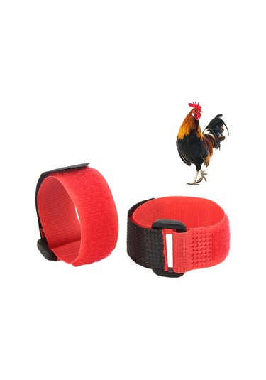 Moveevo 2 Adet Nylon Tavuk Kolyesi - Kükremeyi Azaltan, Uygun Ve Dayanıklı, Tavuk-ördek-bazı Kuşlar İçin Uyumlu