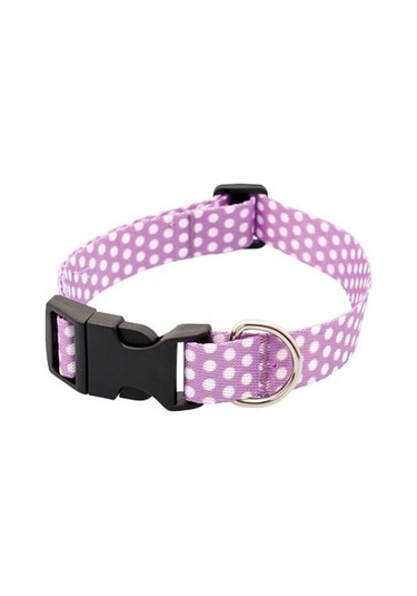 Pettagart Puantiyeli Lila Küçük Irk Köpek Boyun Tasması M Boyun 25 Cm X 40 Cm / 2 Cm Çok Renkli