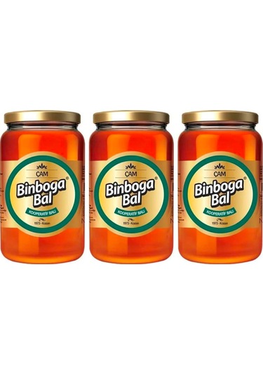 Binboğa Kooperatif Çam Balı 3 x 240 G