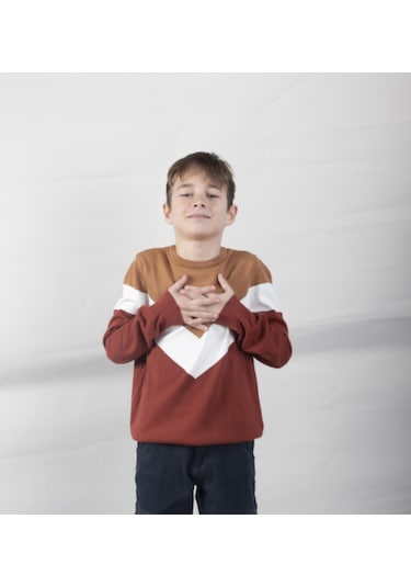 Alexandergardi Erkek Çocuk Desenli Kazak C21-18676 001