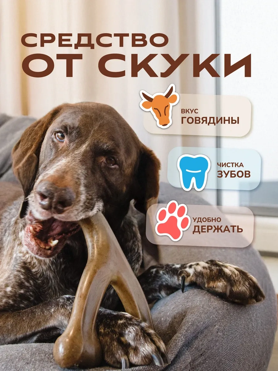 Misterbully Büyük Cins Köpekler İçin Dayanıklı Diş Oyuncakları 235357006