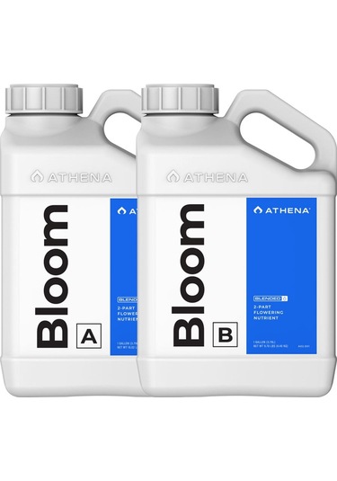 Athena Bloom A+b 0.94 Litre