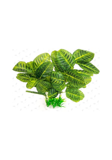 Plastik Bitki Yapraklı 3001 Seri