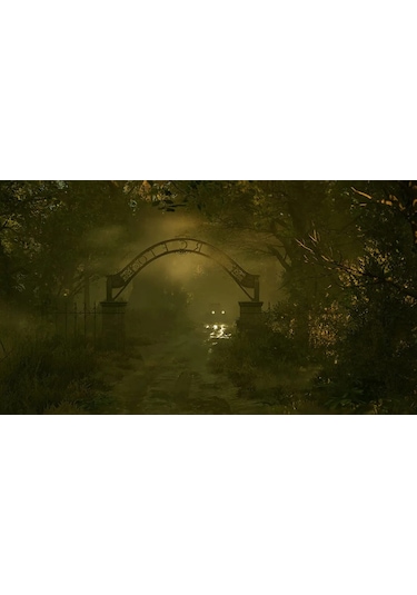 Alone İn The Dark PS5 Oyun