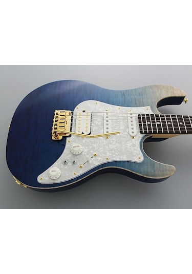 Fujigen Odyssey Elektro Gitar Eos-fm-r/nbg