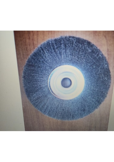 Daire Fırça 150 Mm 0,10 Ince Telli Alman Malı