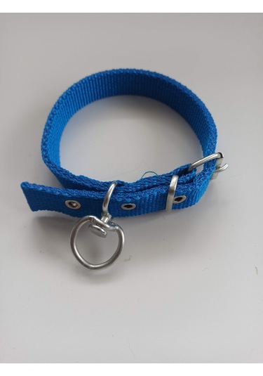 Kozaklı Küçük Irk Köpek Tasması Mavi 50 x 2.5 CM Mavi