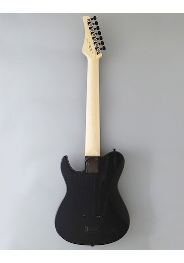 Fujigen Iliad Elektro Gitar Jıl73ashder/opb