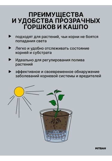 Mıtbah Şeffaf Kare Orkide Saksısı, 2 Adet, 1,2 L 399165392