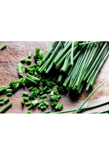 Staro Frenk Soğanı Tohumu Soğanotu Chives