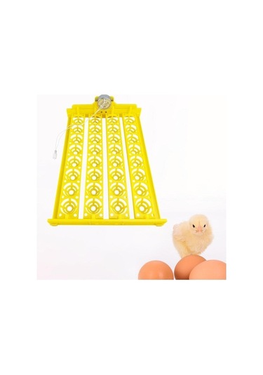 Pazly Otomatik Yumurta Çevirme Makinesi Kuluçka Tavuk Suntek Ac-12v Pm