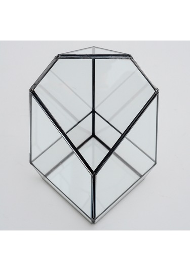 Cam Fanus Geometrik Teraryum Siyah Valens