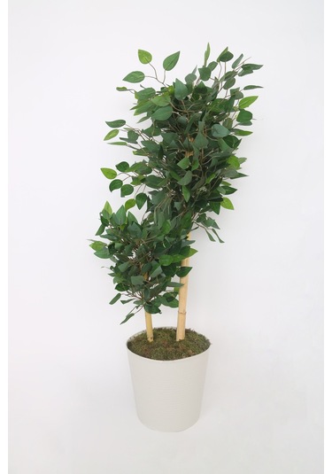 Yapay Ficus Benjamin Ağacı Dolgun Yeşil Yapraklı, Ev Ve Ofis Dekorasyonuna Uygun, Bambu Gövdeli Yeşil