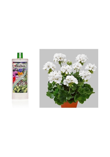 Tropikal Besin Bitkis 3 Adet - 1000 Ml