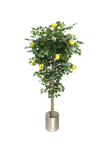Yapay Limon Ağacı 180Cm Doğal Görünümlü Yapay Ağaç