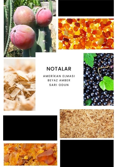 Ixora E034 Assist Erkek Parfüm EDP 50 ML