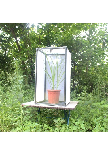 Teltree Pvc Çerçeveli Esnek Kafes: Kelebek, Böcek Yetiştirme, Bitki Koruması İçin Özel Boyutlu 40 30 40 Tüketiciye Doğru Satış