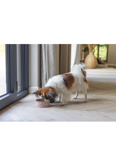 Beeztees Dbl Köpek Mama Su Kabı, Seramik, Pembe, 13,5cm, 500ml