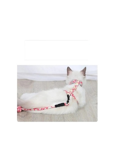 Büro Ev Ofis Evcil Pet Hayvanı İçin Göğüs Tipi Kedi Gezdirme Tasması