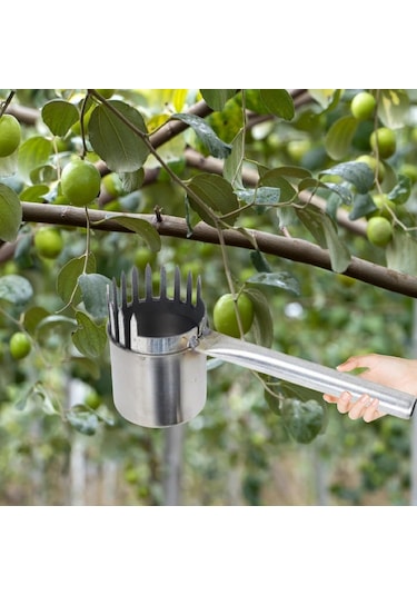Küçük Meyveler İçin Meyve Seçici Bahçe Ekipmanları Hasat Jujube Toplama Aracı