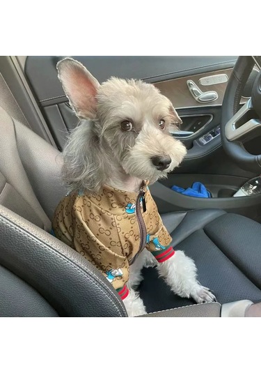 Küçük Ve Orta Boy Köpekler İçin Mont 390498419