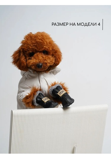 Petite Pets Küçük Irk Köpekler İçin Ayakkabılar 270587202