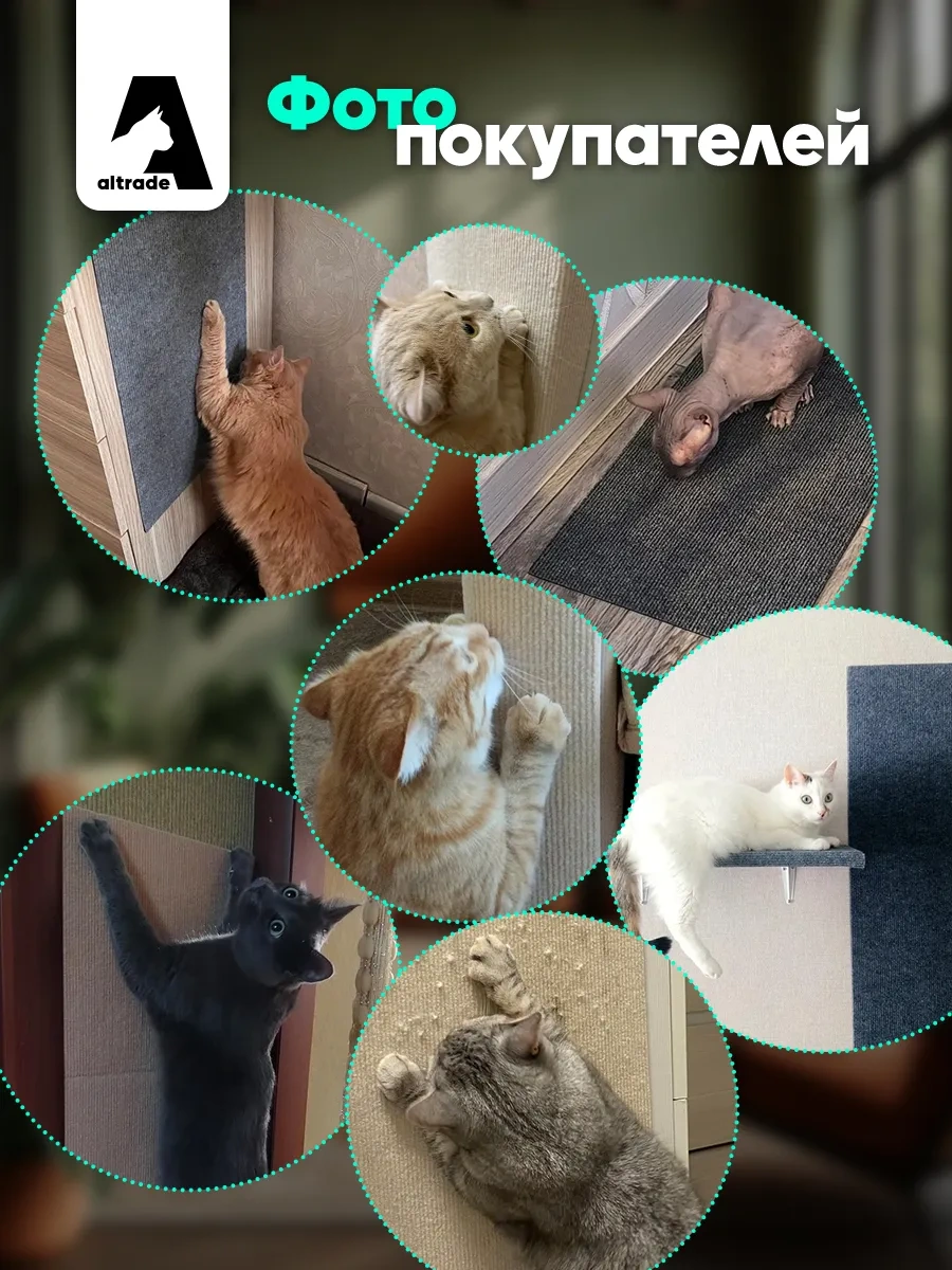 Altrade Kedi Tırmalama Tahtası 30x60 Kendinden Yapışkanlı 231115796