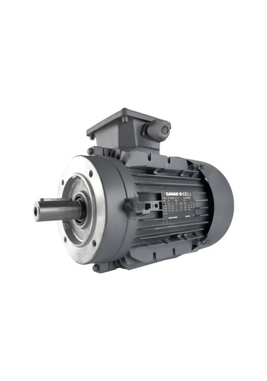 Gamak Motor 4 Kw, 3000 Devir, B14 Flanşlı