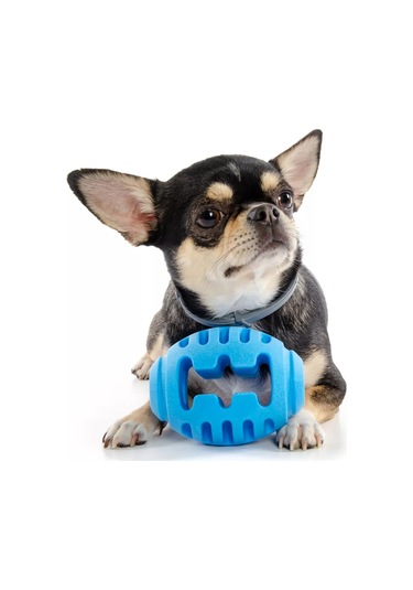 Elitedog Vandalizme Karşı Dayanıklı Ragbi Topu, L, 10x7.5x7.5cm 226762089