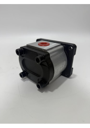 Cbn-f304 Hidrolik Dişli Pompa
