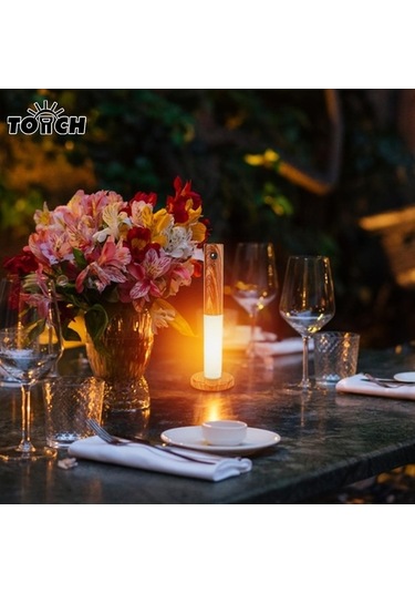 Willowhaven Hareket Sensörlü Usb Şarjlı Kablosuz Led Gece Lambası, Antik Metal Kaplama Diğer