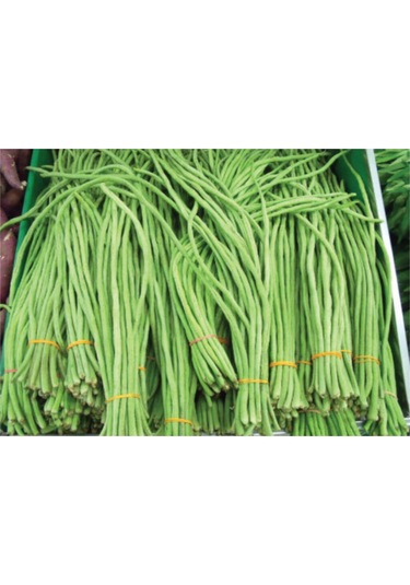 İthal Uzun Çin Fasülyesi Tohumu 3 Fasulye Tohumu