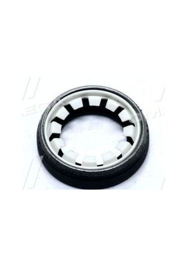 Succe Aks Kecesi Sağ