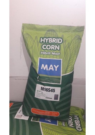 May Silajlık Mısır Tohumu M16s45