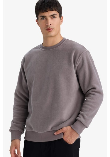 Defacto Relax Fit Bisiklet Yaka Polar Sweatshirt F3685ax25wngr308 Gri-gr308 Defacto Relax Fit Bisiklet Yaka Polar Sweatshirt F3685ax25wngr308 Gri-gr308