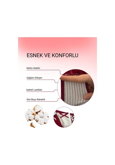 Alya Underwear Pamuklu Kadın Külot Slip Empirme Baskılı Yüksek Bel İç Çamaşırı - 5'li Paket - Lacivert Bordo P27