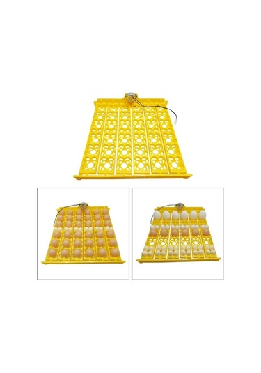 Pazly Suntek Motor Kümes Kuluçka Hayvanları Cihazı Çiftliği 220v Ly