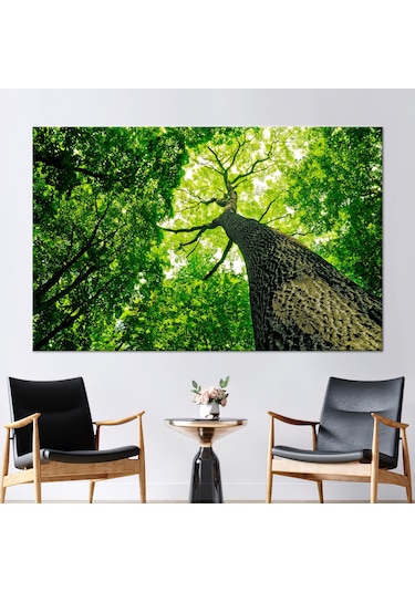 90x150cm 1 Parça Kanvas Tablo, Doğa Kanvas Sanatı