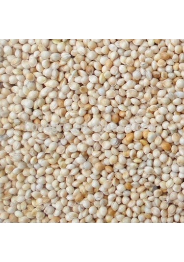 Çift Elenmiş Akdarı Yem 20 KG