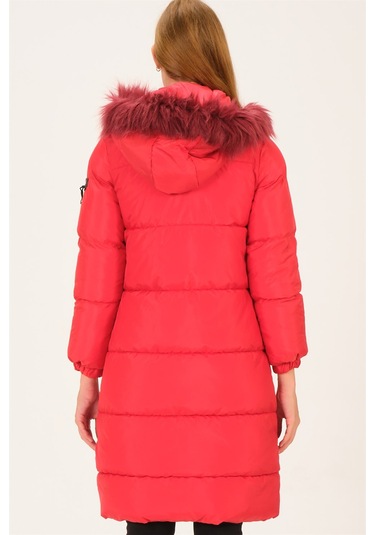 Dewberry Bayan Mont Z6706