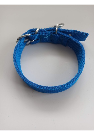 Kozaklı Küçük Irk Köpek Tasması Mavi 50 x 2.5 CM Mavi