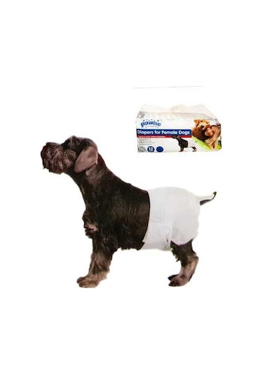 Pawise Ultra Emici Köpek Bezi 12'li Siyah M