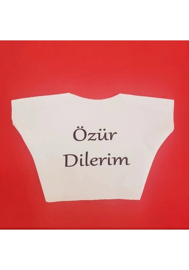Özür Dilerim Yazılı Peluş Oyuncak Tişörtü Çok Renkli