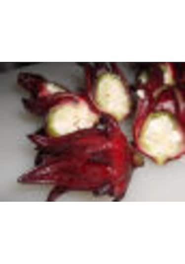 Sudan Bamyası Çiçeği Tohumu Roselle Çiçeği Tohumu Hibisküs Çiçeği Tohumu 10 Adet Tohum